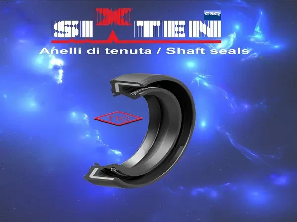 Anelli di tenuta / Shaft Seals
