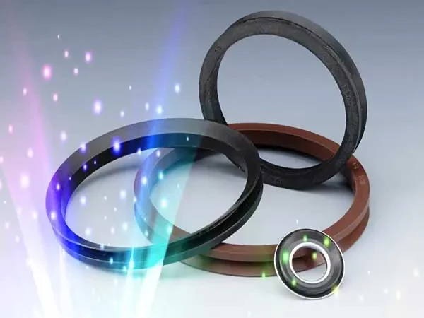 Anelli tenuta frontale / V Rings seals